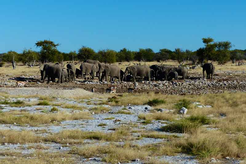 Namibia